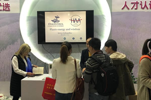 HAA with Osmanthus : Shanghai congress