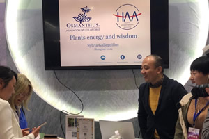 HAA with Osmanthus : Shanghai congress