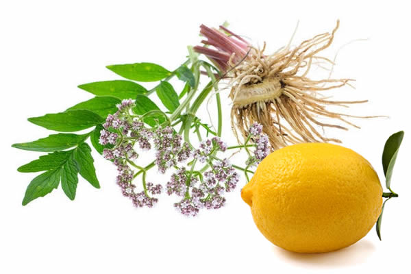 THE SLEEP-ENHANCING EFFECT OF VALERIAN INHALATION AND SLEEP-SHORTENING EFFECT OF LEMON INHALATION